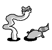 long racc
