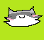 racc